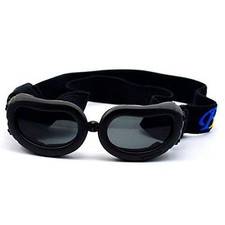 extra small dog sunglasses