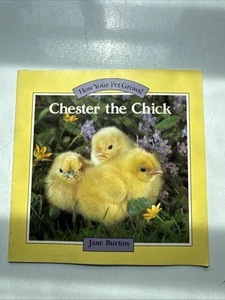 Chester the Chick  - Bild 1 von 3