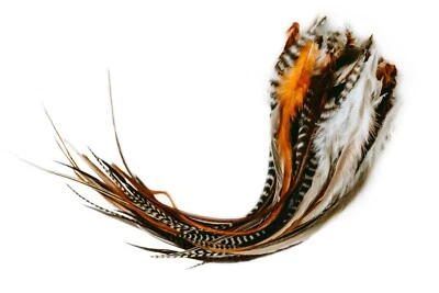 *OFERTA* 15 piezas. Extensión de pluma natural esponjosa de 8"-14" grado salón, kit hágalo usted mismo Foto 1 de 4