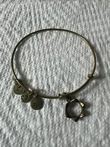 Bracciale Alex e Ani Corona Regine Oro 👑 Charm ✨️ - Foto 1 di 4