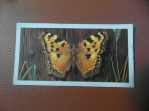 Great Britain Brooke Bond original 1963 tea card "British Butterflies",  No.22. 