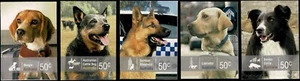 Estampillas folletos Working Dogs 2008. Juego de 5 S/A. MNH. - Imagen 1 de 1