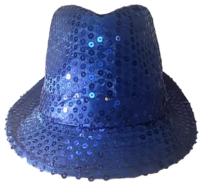 Disfraz para niños Sombrero Fedora Lentejuelas Azul Unisex Klein Internacional Sin Iluminar Usado Foto 1 de 4
