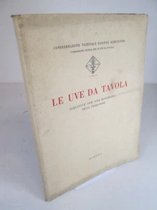 1930 LE UVE DA TAVOLA PRODUZIONE ESPORTAZIONE COMMERCIO UVA AGRICOLTURA SC72 - Foto 1 di 9