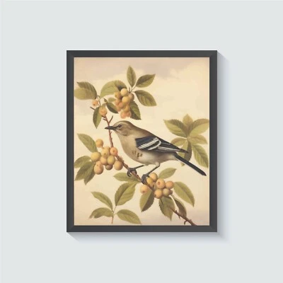 Pôster vintage com estampa de arte de parede Mockingbird Bird - Imagem 1 de 4