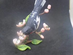 Grosbeak dal petto di rosa seduto su ramo di mela in fiore alto 4" - Foto 1 di 3