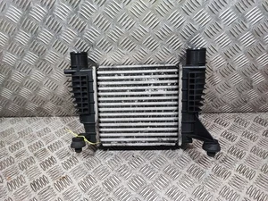 Nissan NV200 1.5 DCI 2013-20 Genuine Intercooler 14461-9U20A - Picture 1 of 11