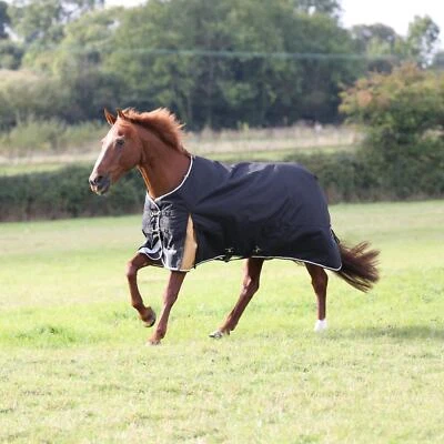 Shires Highlander Plus 200g Turnout Rug - Black - Image 1 of 4