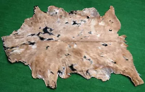 New Goat hide Rug Hair on Area Rug Size 34"x24" Animal Leather Goat Skin U-1895 - Picture 1 of 3