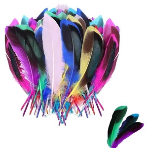 50 Stück Bunte Hahnfedern Farbige Federn Natürliche Gänsefeder für DIY Traumf... - Bild 1 von 7