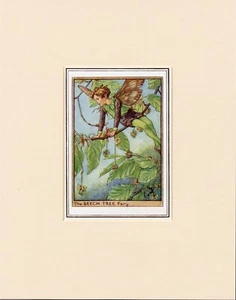 HADA DEL ÁRBOL DE HAYA Original De colección años 1940 Cecily Mary Barker Estampado Listo Montado - Imagen 1 de 1