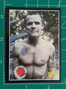 1994 RED HOT CHILI PEPPERS FLEA ROOKIE FIGUS Rock Cards Card POP MUSIC ARGENTINA
