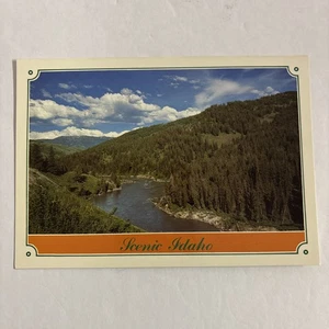 Postal de colección escénica de Idaho South Fork Snake River Swan Valley sin publicar - Imagen 1 de 2
