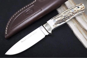 Muela Knives Kodiak-10A Fixed Blade - Genuine Stag Handle / X50CrMoV15 Stainless - Picture 1 of 4