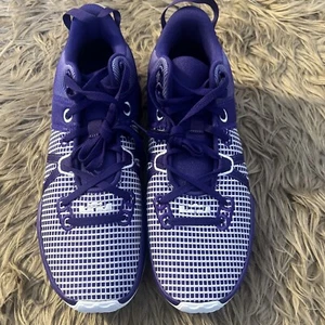 Size 14- Nike LeBron Witness 7 TB Low Court Purple White DZ3299-500 Basketball - Picture 1 of 7