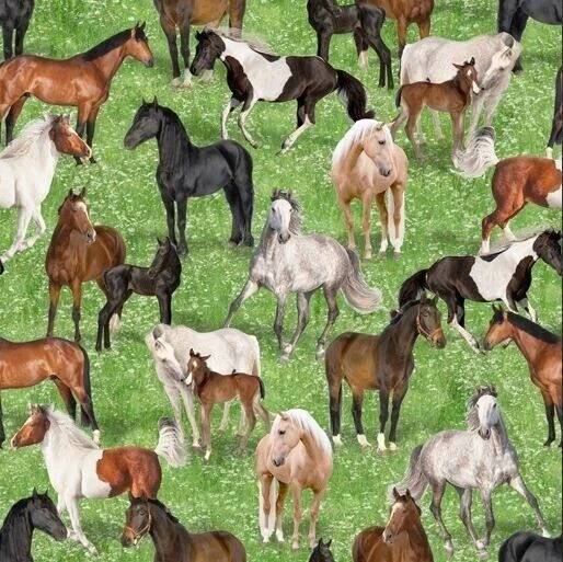 Fat Quarter - Horse Life - Caballos sobre hierba tela de algodón Foto 1 de 2