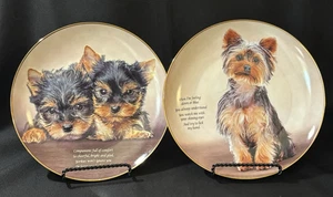 Danbury Mint Yorkshire Terrier "Cherished Yorkies" set 2 (8") piatti da collezione - Foto 1 di 8