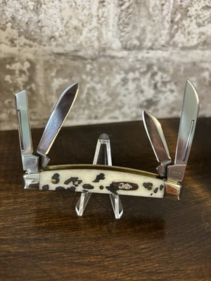 Case XX Cow Print Small Congress 2024 - Image 1 of 3