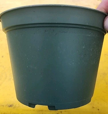 Ollas para vivero de alta resistencia de 6 pulgadas/100  Foto 1 de 4
