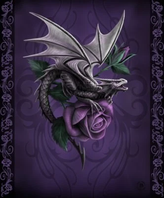 New 50x60 Anne Stokes Dragon Beauty Purple Rose Plush Throw Gift Blanket Sherpa - Image 1 of 4
