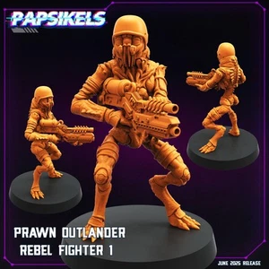 Prawn Outlander Rebel Fighter - 1 - Picture 1 of 2