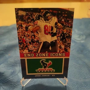 Andre Johnson Texans End Zone Icons Topps Nfl - Bild 1 von 2