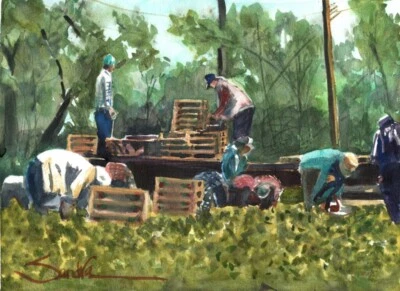 California Farm Workers :  Signed LE Art Print :  Sandra Watercolors™ California - Image 1 of 2