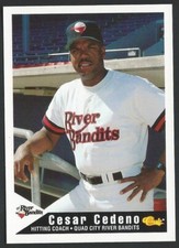 1994 Classic ProCards 1995 Quad City River Bandits Minor League BB card - PICK 