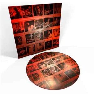 Chris Cornell: No One Sings Like You Anymore Picture Disc Vinyl LP. Soundgarden. - Picture 1 of 1