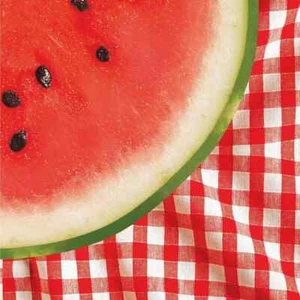 Watermelon Check Summer Luau Beach Picnic Cookout Party Paper Luncheon Napkins - Picture 1 of 1