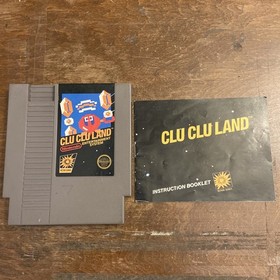 Clu Clu Land w/Manual NES Nintendo