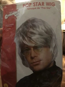 Peluca Pop Star Adulto Gris Nueva En Pack - Imagen 1 de 2