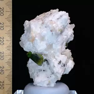 Green Tourmaline w/ Lepidolite Mica on Albite matrix mineral specimen 398ct - Bild 1 von 9