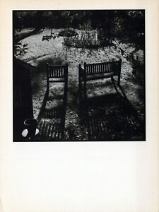 RPPC A Bench & A Chair Athena Photographics 4x6 Postcard
