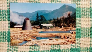 VINTAGE POST CARD NORTHWEST SAWMILL & LOG POND SOUTHWESTERN WASHINGTON - Picture 1 of 12
