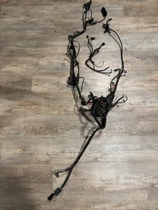 2002 HARLEY SOFTAIL Main Wire Wiring Harness Loom Fuse Box Carbureted - Bild 1 von 5