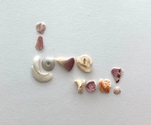 A forma di lettera naturale TI AMO! insegna parola conchiglie da spiaggia arte artigianale conchiglia❤️ US - Foto 1 di 13