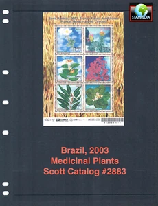 1/2 off $11.50 Scott Value - 2003 BRAZIL Amazon s/s Medicinal Plants MNH NH UMM - Picture 1 of 4