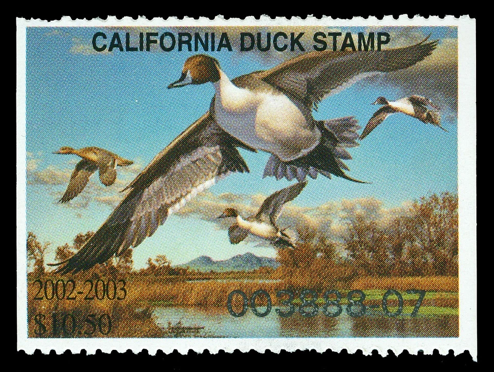 Scott CA33 2002 $10.50 California Duck Stamp Mint VF OG NH Cat $16 - Image 1 of 1