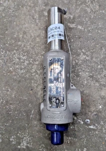 ANDERSON GREENWOOD CROSBY CF8M Stainless RELIEF VALVE 0.5 x 1 55 PSIG 951110MA - Picture 1 of 5