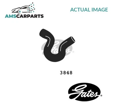 RADIATOR HOSE UPPER 3848 GATES NEW OE REPLACEMENT - Image 1 of 4