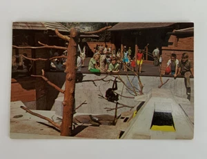 Postkarte Woodland Park, Seattle. Wash C-444 Ellis Post Card Co. Unposted - Bild 1 von 2