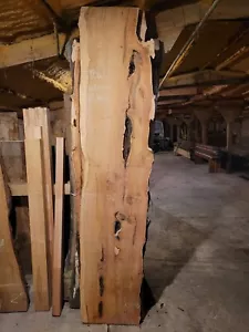 Englische Eibe Live Edge große Platte 500 x 60 x 2360 mm atemberaubende Tischplatte Barplatte - Bild 1 von 4