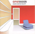 Porte ouverte Whta`S Behind The Door #1 (IMPORTATION BRITANNIQUE) Vinyle NEUF