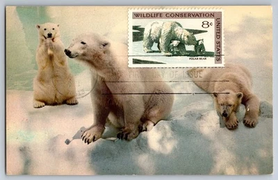 #1429 Wildlife Conservation Polar Bear FDC Maxi Card - Image 1 of 2