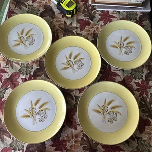 5 Vintage Herbst Gold Speiseteller von Century Service Corporation halbglas - Bild 1 von 11
