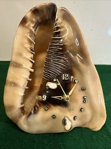 Conch Seashell Clock Ocean Decor Beach Conch Shell Sea Side Vintage 7x6x6 - Picture 1 of 9