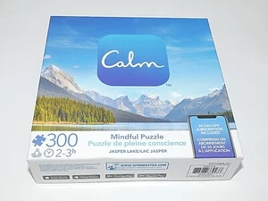 Calm Mindful Jigsaw Puzzle JASPER LAKE 300 Pieces Spinmaster w/ Poster 24x18 New - Picture 1 of 6