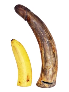 Horn Phallus Skulptur Trinkhorn 26 cm seidenmatt natur Erotik Afrika Penis Figur - Bild 1 von 10