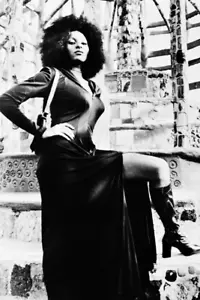 Pam Grier  4x6 photo  - Picture 1 of 1